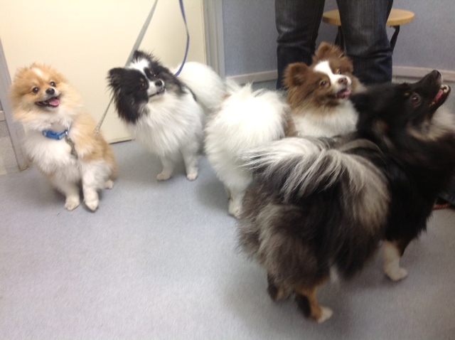 大津元気ちゃん