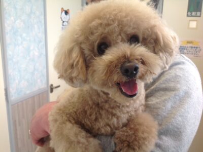 松本バルちゃん