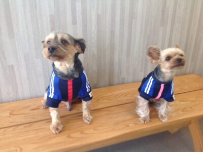 工藤大和君&武田ピーチちゃん