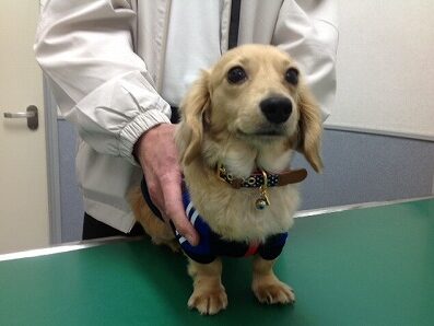 難波ロンちゃん